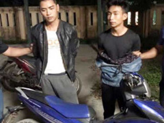 Ảnh bìa bài viết 645530