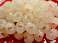 Ảnh bìa bài viết 645851