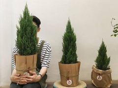 Ảnh bìa bài viết 645776