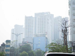 Ảnh bìa bài viết 646873