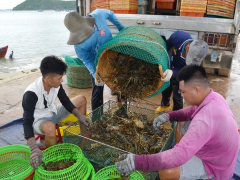 Ảnh bìa bài viết 647115