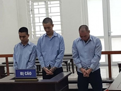 Ảnh bìa bài viết 647234