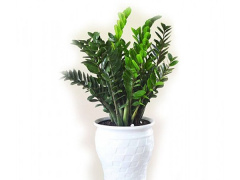 Ảnh bìa bài viết 647259