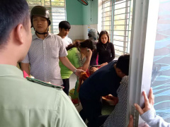 Ảnh bìa bài viết 647394