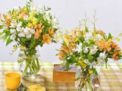Ảnh bìa bài viết 647515