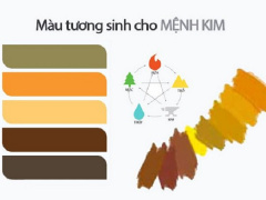 Ảnh bìa bài viết 647940