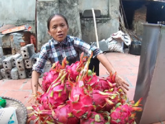 Ảnh bìa bài viết 648041