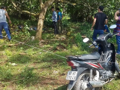 Ảnh bìa bài viết 649018