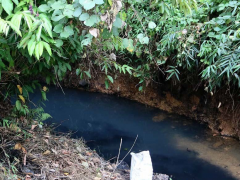 Ảnh bìa bài viết 649083