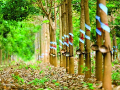 Ảnh bìa bài viết 649113