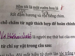 Ảnh bìa bài viết 649181