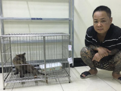 Ảnh bìa bài viết 649465