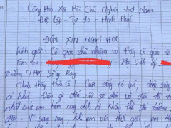 Ảnh bìa bài viết 650018
