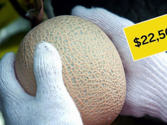 Ảnh bìa bài viết 651094