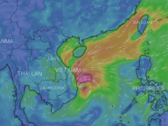 Ảnh bìa bài viết 651663