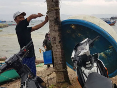 Ảnh bìa bài viết 651509