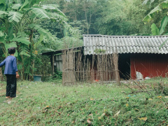 Ảnh bìa bài viết 651524