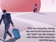 Ảnh bìa bài viết 651944