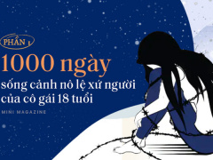 Ảnh bìa bài viết 652111