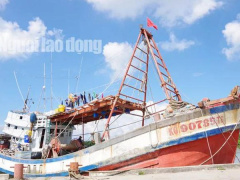 Ảnh bìa bài viết 652389