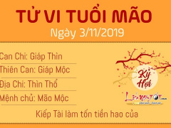 Ảnh bìa bài viết 652222