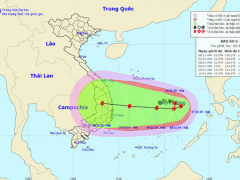 Ảnh bìa bài viết 652999