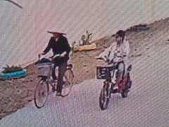 Ảnh bìa bài viết 653118