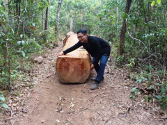 Ảnh bìa bài viết 653059
