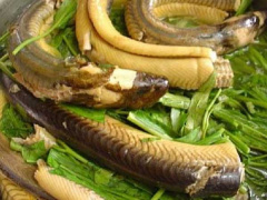 Ảnh bìa bài viết 653066