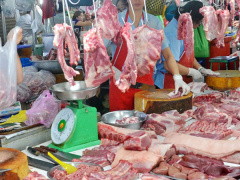 Ảnh bìa bài viết 653219