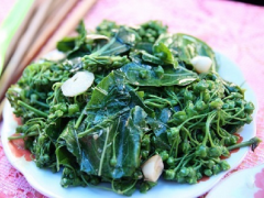 Ảnh bìa bài viết 653226