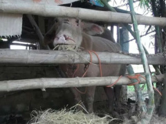 Ảnh bìa bài viết 653303
