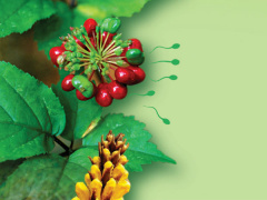 Ảnh bìa bài viết 653591