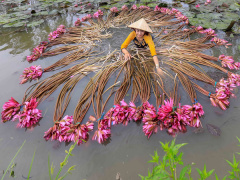 Ảnh bìa bài viết 653611