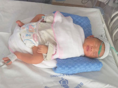 Ảnh bìa bài viết 654015