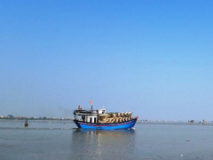 Ảnh bìa bài viết 654538