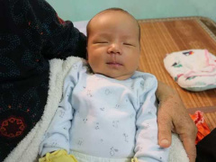 Ảnh bìa bài viết 654482