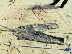 Ảnh bìa bài viết 654691