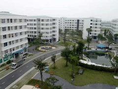 Ảnh bìa bài viết 654826