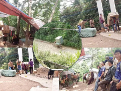 Ảnh bìa bài viết 654903