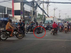 Ảnh bìa bài viết 655138