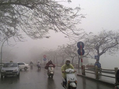 Ảnh bìa bài viết 655372
