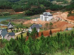 Ảnh bìa bài viết 655379