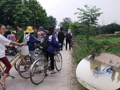 Ảnh bìa bài viết 655419