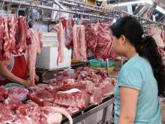 Ảnh bìa bài viết 655571