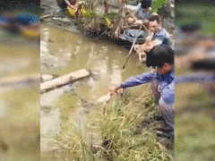 Ảnh bìa bài viết 656148