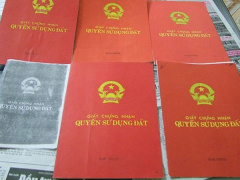 Ảnh bìa bài viết 656222