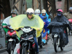Ảnh bìa bài viết 656301