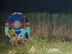 Ảnh bìa bài viết 656400