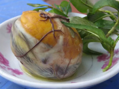 Ảnh bìa bài viết 656595